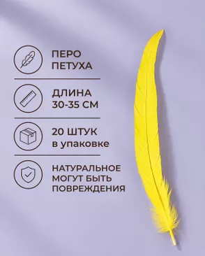 Перо петуха натуральное дл.30-35см уп.20шт Стартекс арт. ППР-23-3-49131.003 Перо петуха натуральное дл.30-35см уп.20шт Стартекс арт. ППР-23-3-49131.003