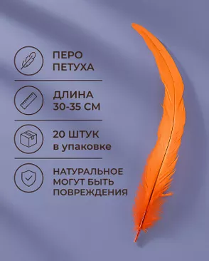 Перо петуха натуральное дл.30-35см уп.20шт Стартекс арт. ППР-23-5-49131.005 Перо петуха натуральное дл.30-35см уп.20шт Стартекс арт. ППР-23-5-49131.005