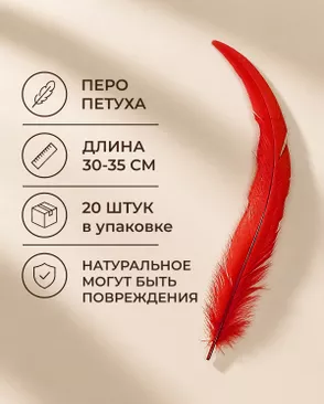 Перо петуха натуральное дл.30-35см уп.20шт Стартекс арт. ППР-23-6-49131.006 Перо петуха натуральное дл.30-35см уп.20шт Стартекс арт. ППР-23-6-49131.006