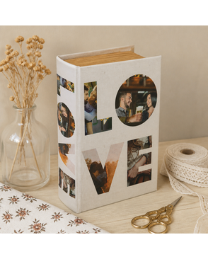 Шкатулка-книга BBK-01 17x11x5 см арт. ГММ-4036-102-ГММ083249238424